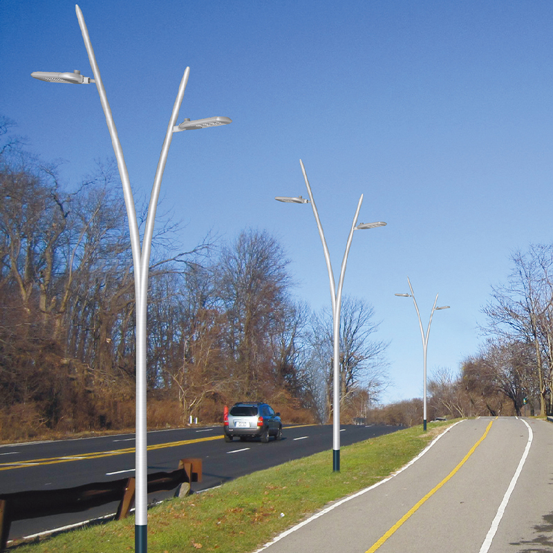 LEO Aluminum Curved Roadway Light Pole with 2 Arm