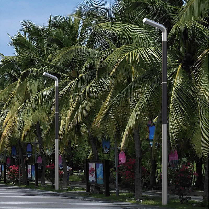 LIENZ Coated Flexible HJT Solar Light Pole